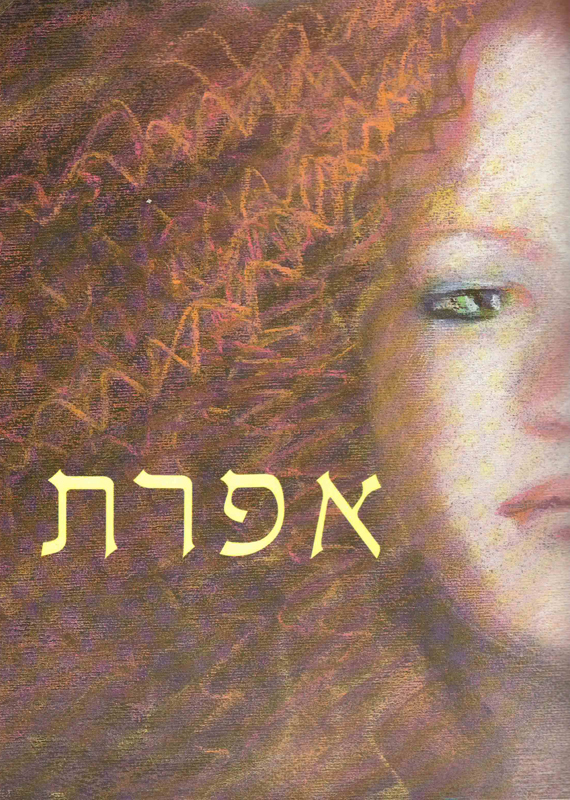 כריכת הספר